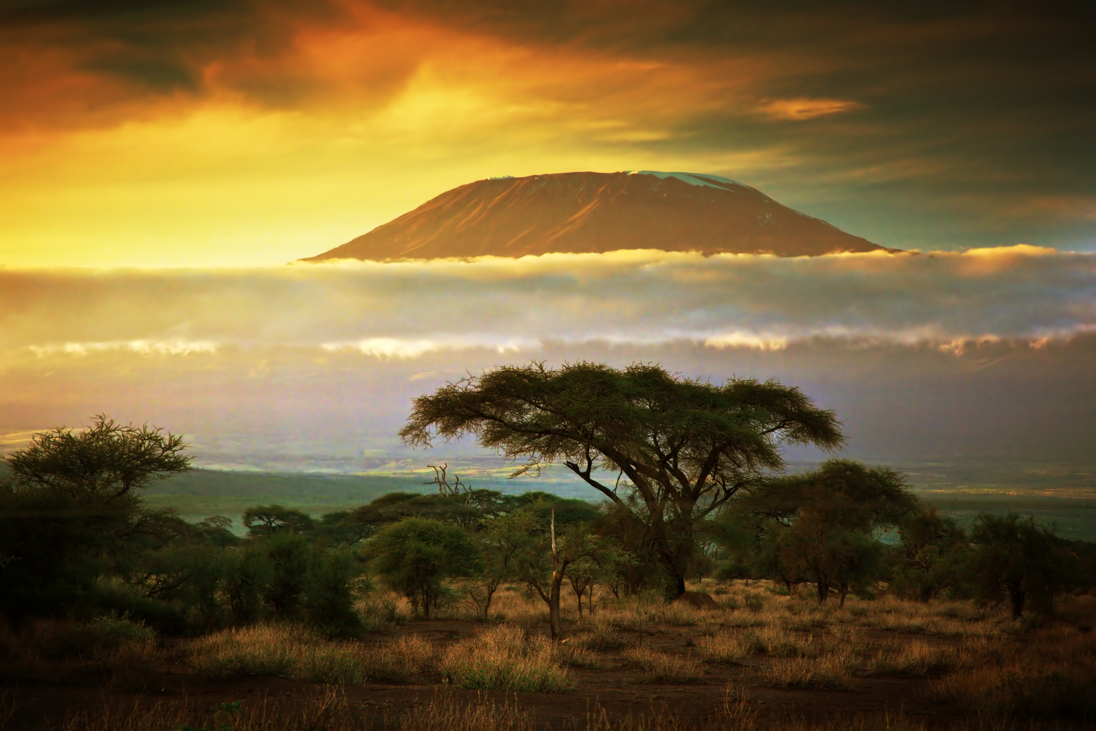Destination image of Kenya