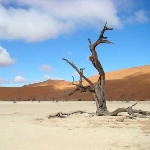 Destination image of Namibie