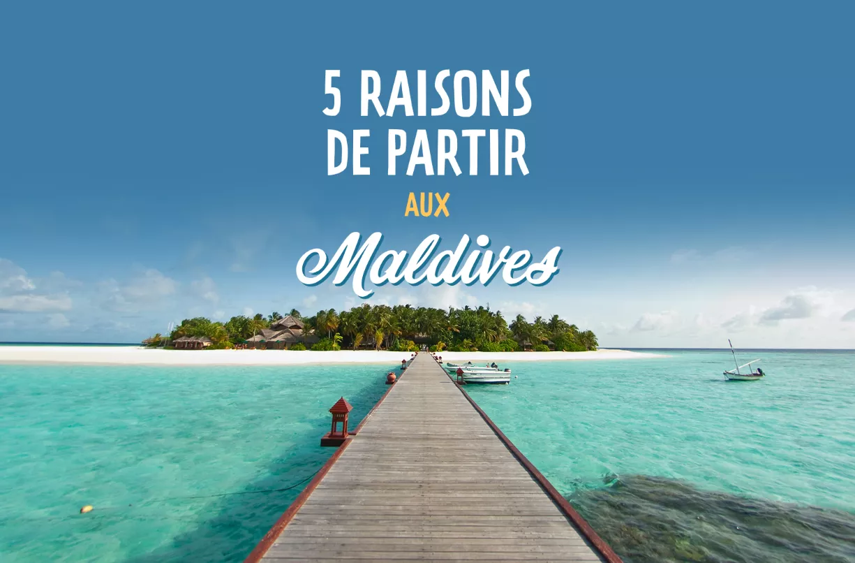 Main image of article: 5 Raisons de partir aux Maldives